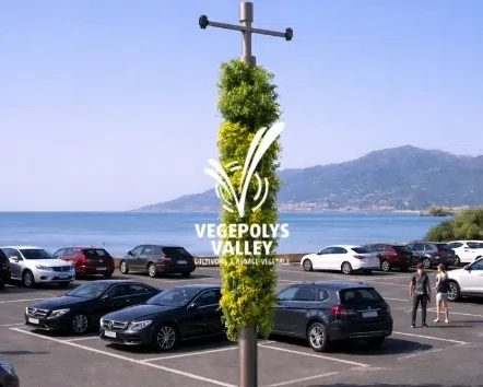 February 10, 2026 - Vegepolys Valley Mube